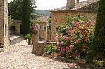 Frankreich/Languedoc Roussillon/La Roque-sur-Ceze/2006 [1361 views]