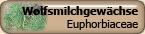 Euphorbiaceae