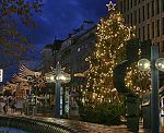 Ludwigshafen/Weihnachtsbeleuchtung2 [1782 views]