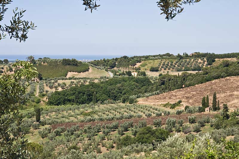 Italien/Toscana/Casale Marittimo/2009