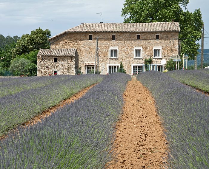 Frankreich/Languedoc Roussillon/Olrargues/2010