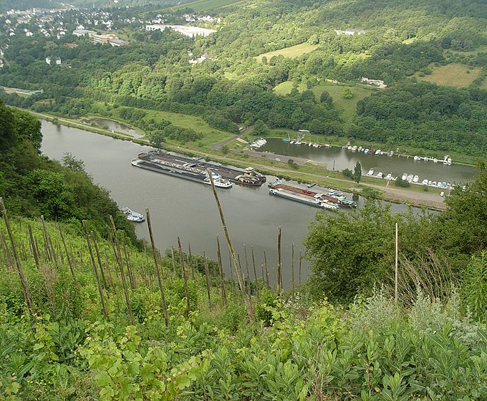 Deutschland/Rheinland-Pfalz/Mosel/2003