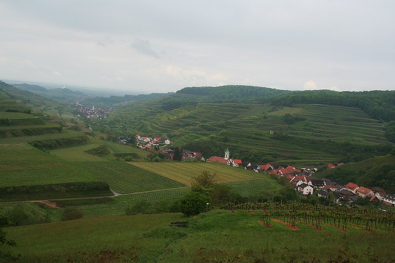 Deutschland/Baden-Wrttemberg/Breisgau/Kaiserstuhl/2005