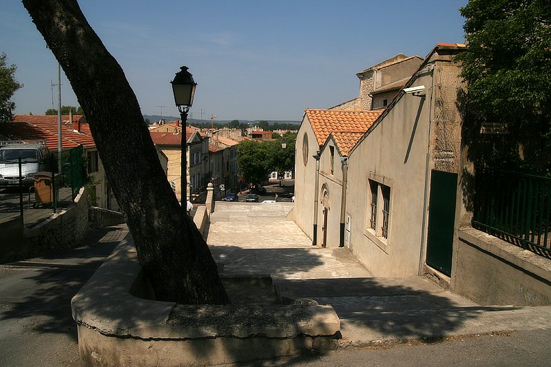 Frankreich/Provence/Chateaurenard/2006