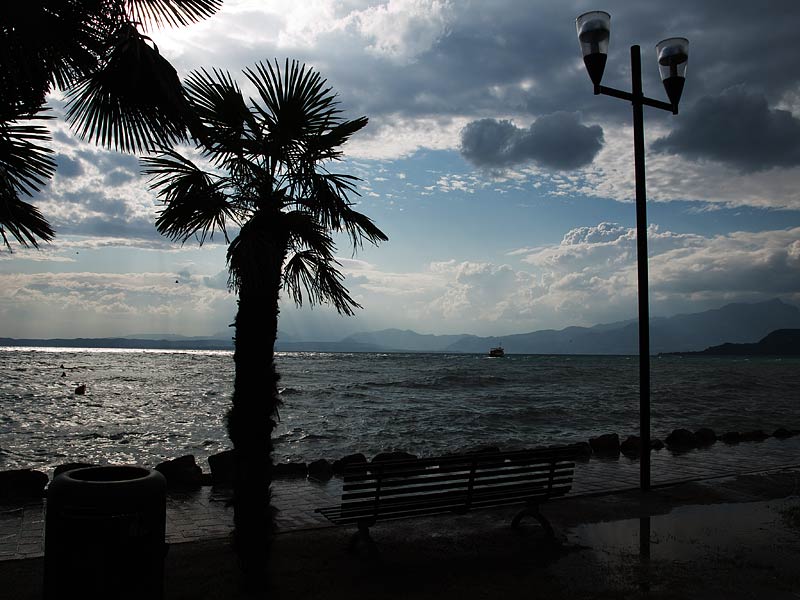 Italien/Veneto/Lago di Garda/Cisano/2009