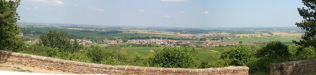 Frankreich/Burgund/Meursault/2006